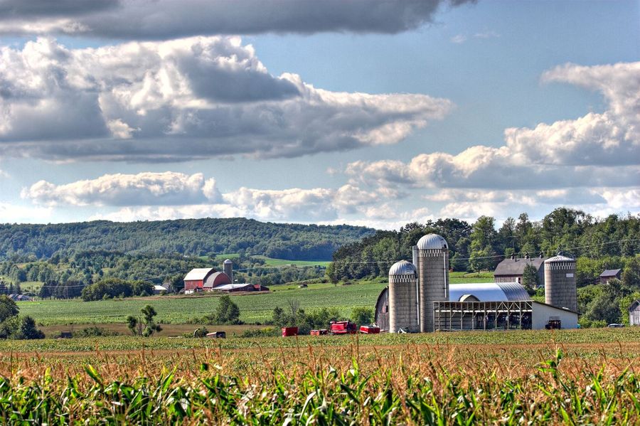 Electrical work in Gilmanton, WI